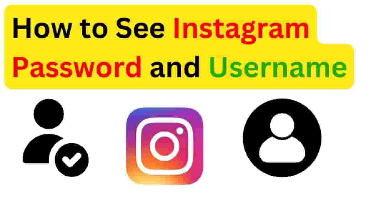 How to See Instagram Password and Username